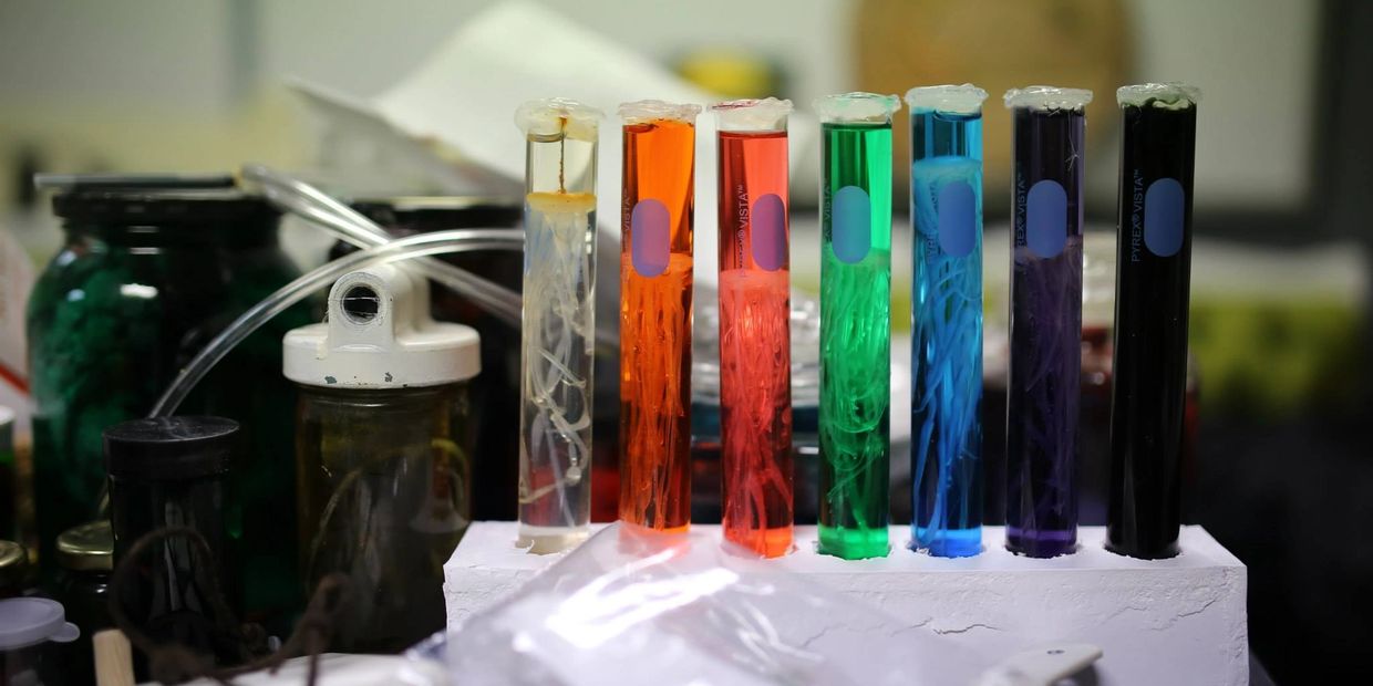 Jesse Walker Effects